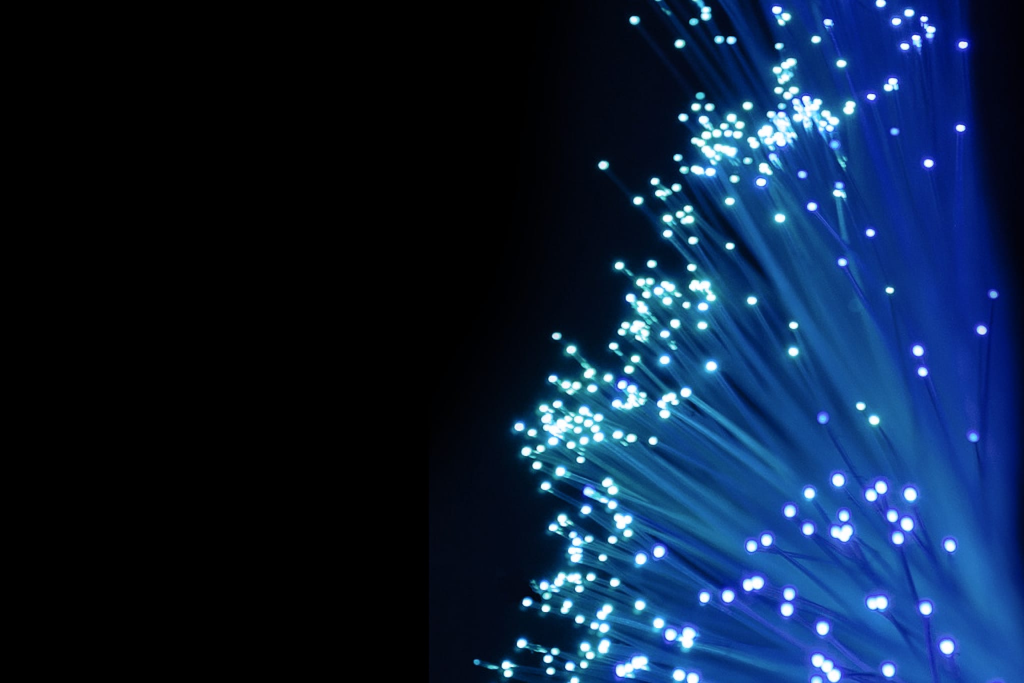 Two Photon Microscopy